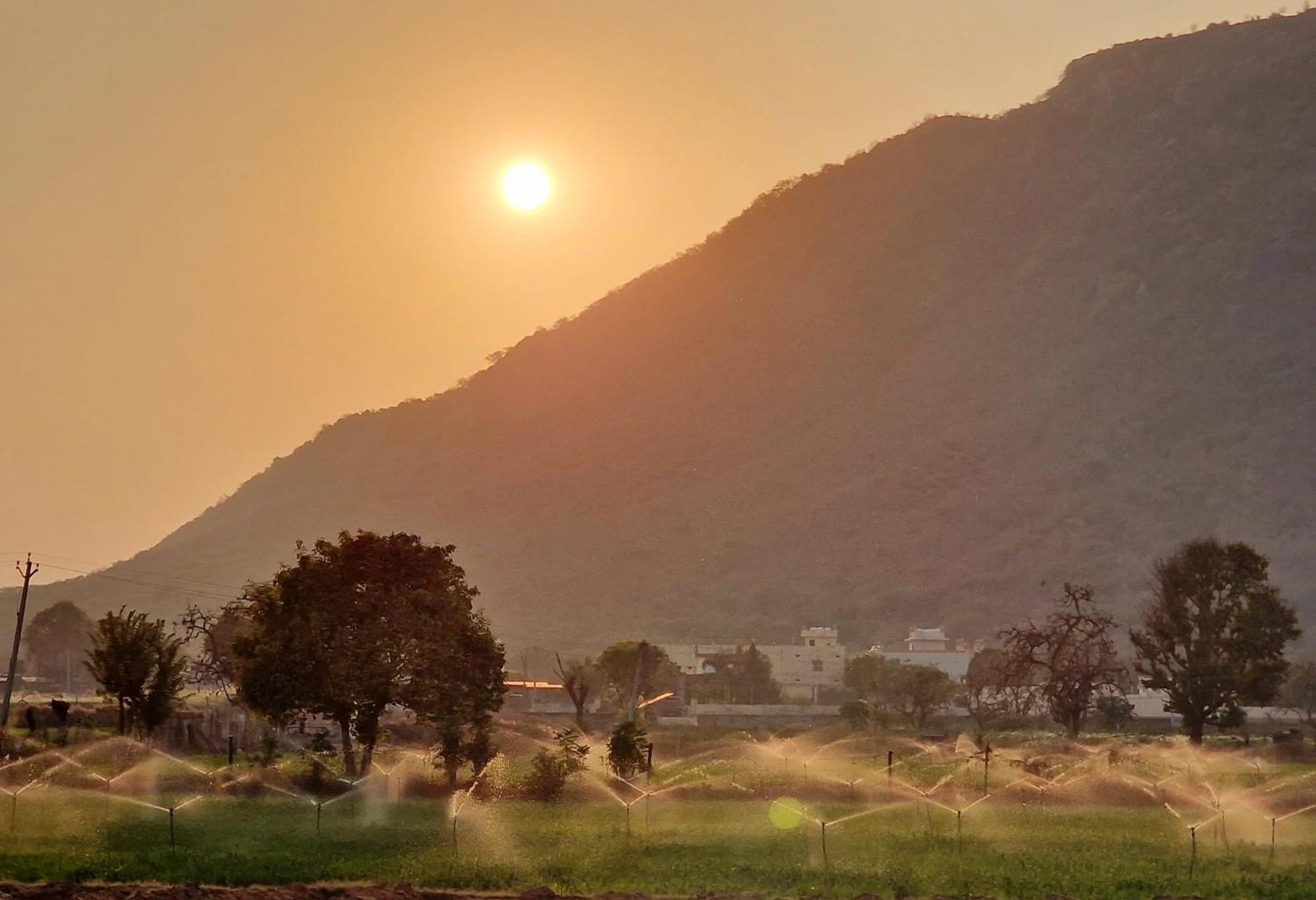 Hotel Divine Palace Pushkar Exterior foto